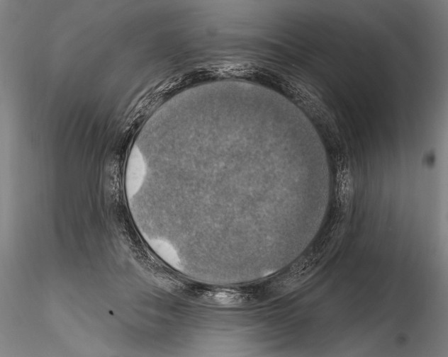 X0000114610506200912010941