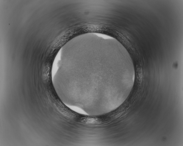 X0000114610507200912010941