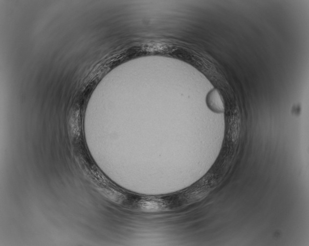 X0000114610510200912010940