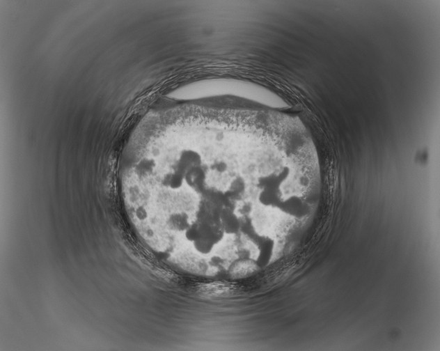 X0000114610511200912010940