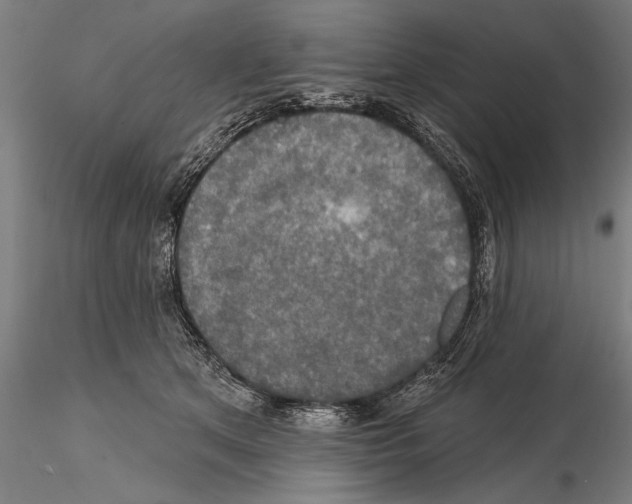 X0000114610513200912010940