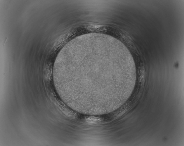 X0000114610515200912010940