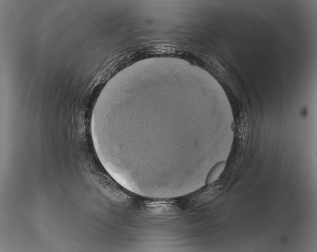 X0000114610516200912010940