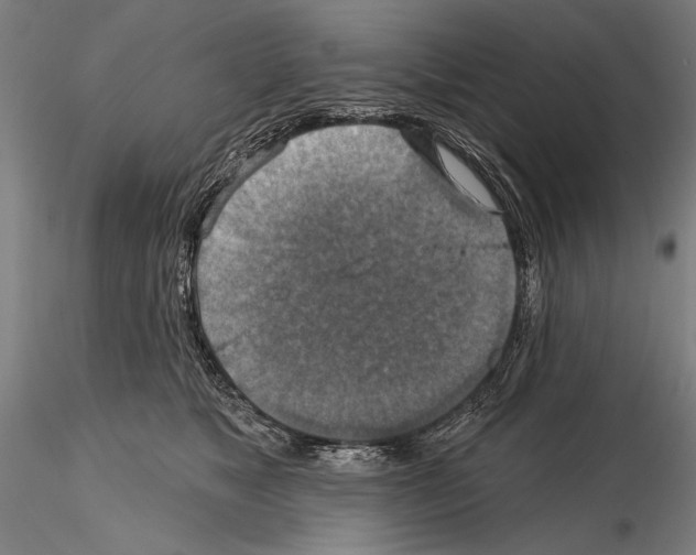 X0000114610517200912010940