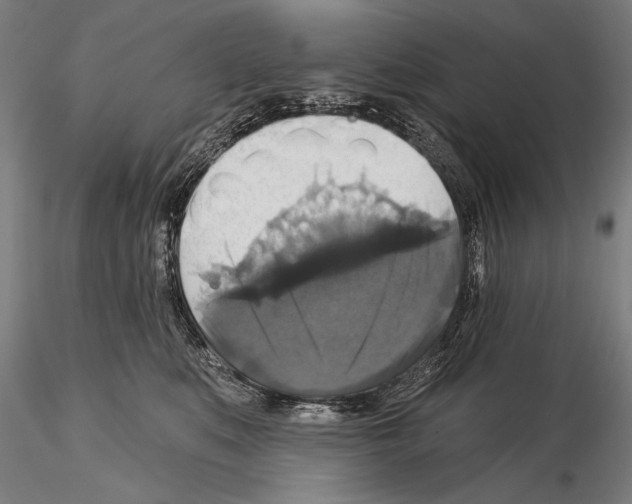 X0000114610519200912010940