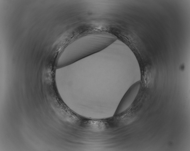 X0000114610520200912010940