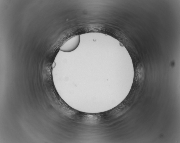 X0000114610522200912010940