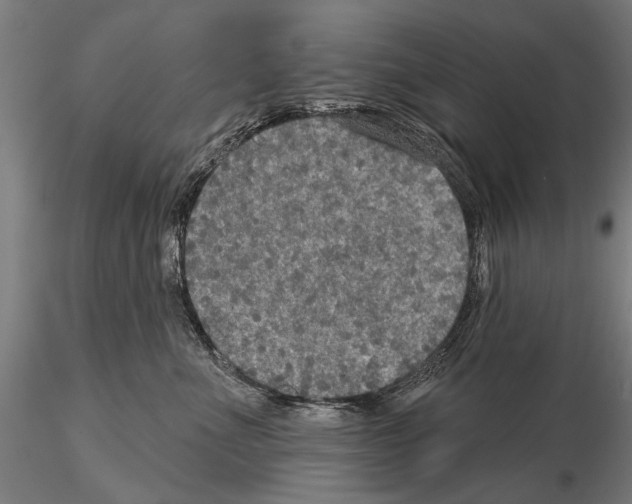 X0000114610523200912010940