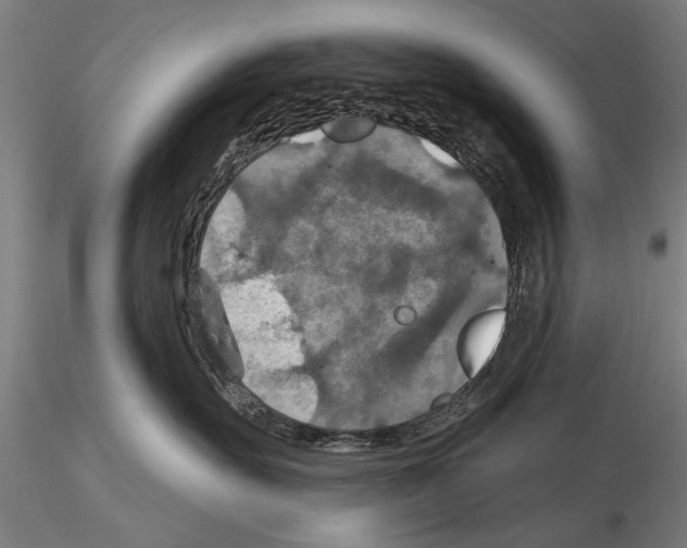 X0000114610527200912010940