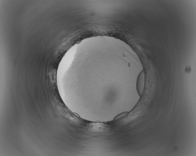 X0000114610528200912010940