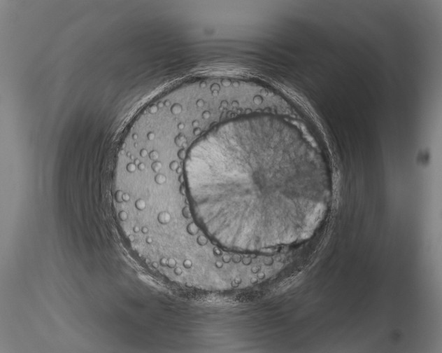 X0000114610529200912010939