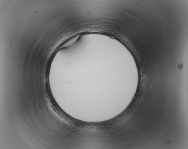 X0000114610530200912010939