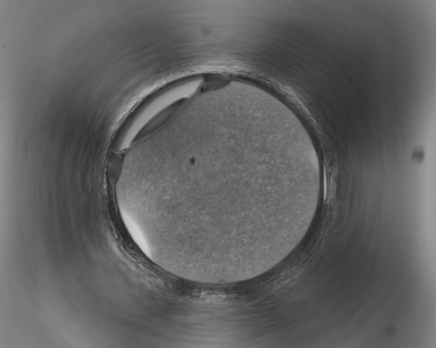 X0000114610531200912010939