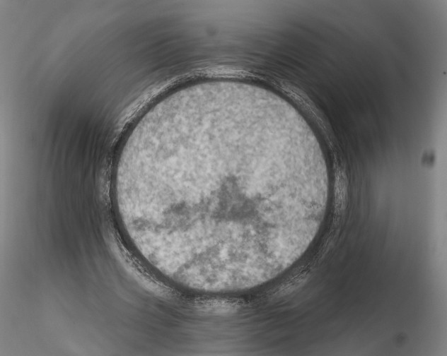 X0000114610533200912010939