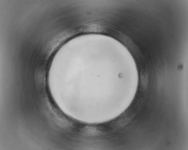 X0000114610534200912010939