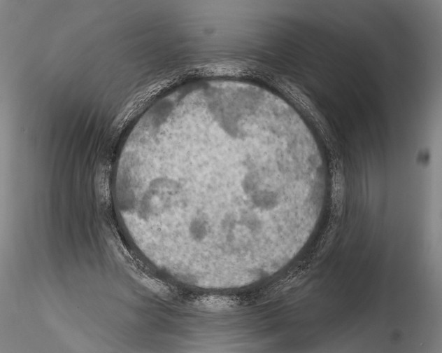 X0000114610537200912010939