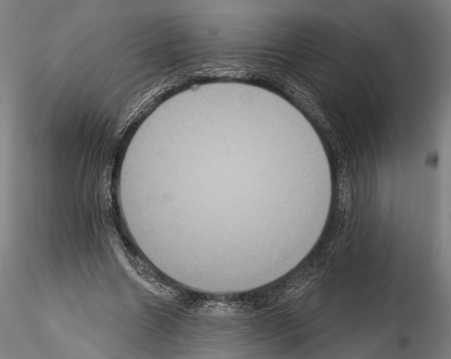 X0000114610538200912010939