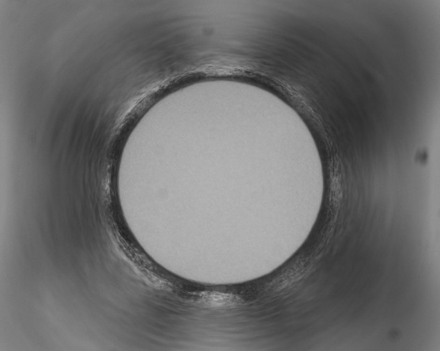 X0000114610539200912010939