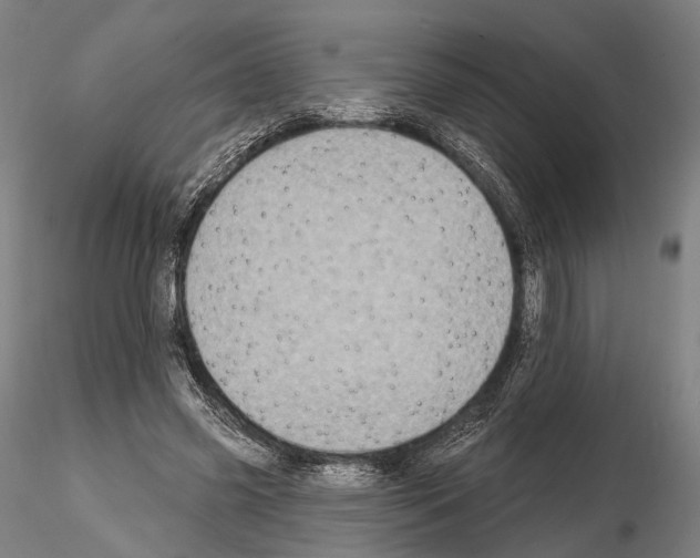 X0000114610541200912010939