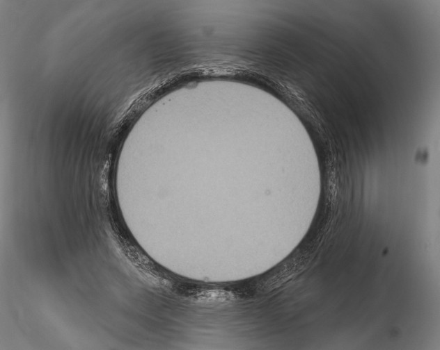 X0000114610543200912010939