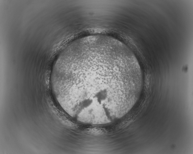 X0000114610545200912010939