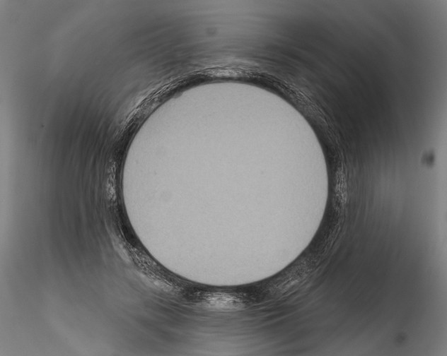 X0000114610547200912010939