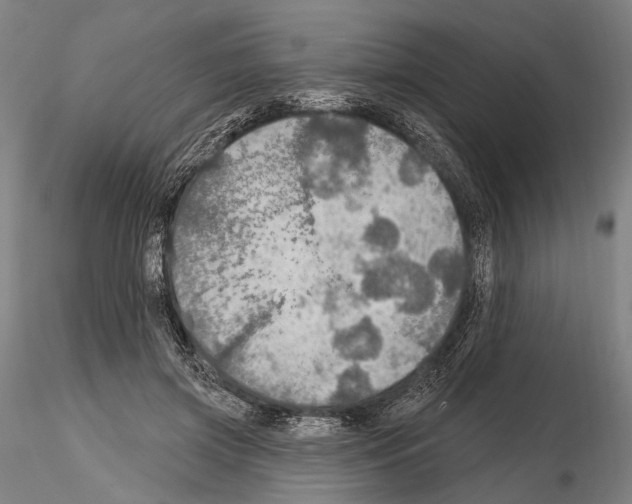 X0000114610549200912010939