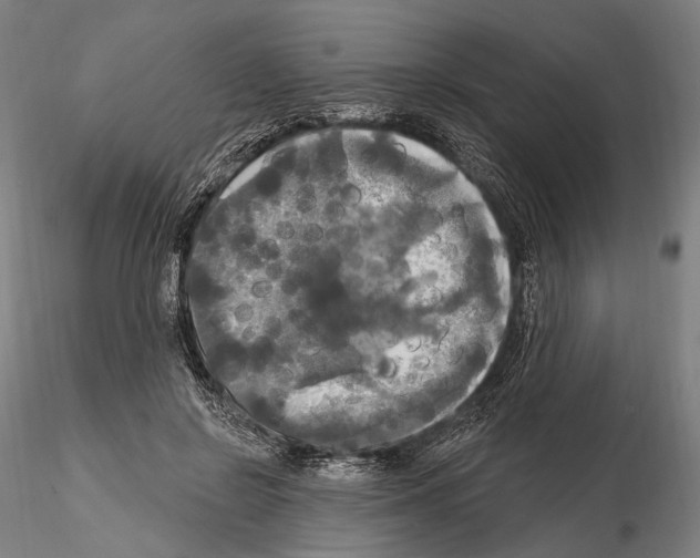 X0000114610550200912010940