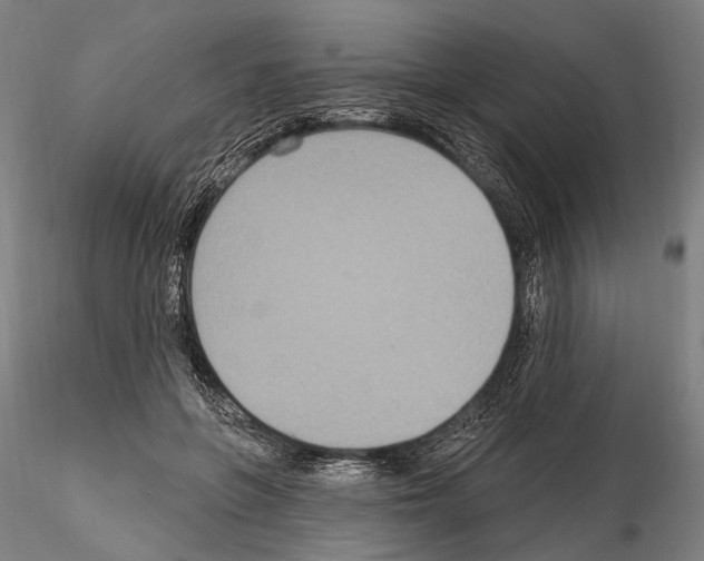 X0000114610551200912010940