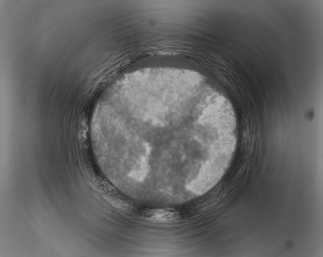 X0000114610555200912010940