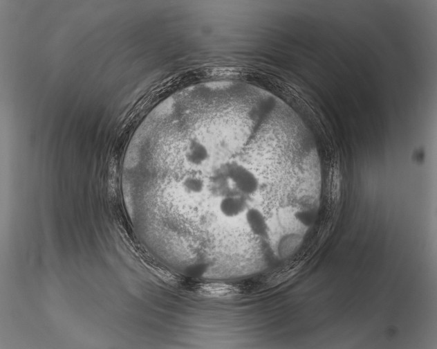 X0000114610557200912010940