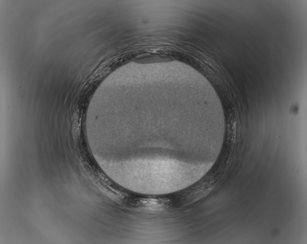 X0000114610558200912010940