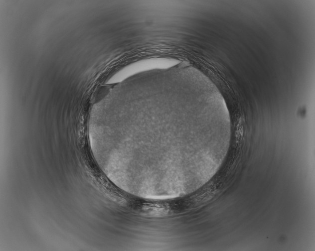 X0000114610559200912010940