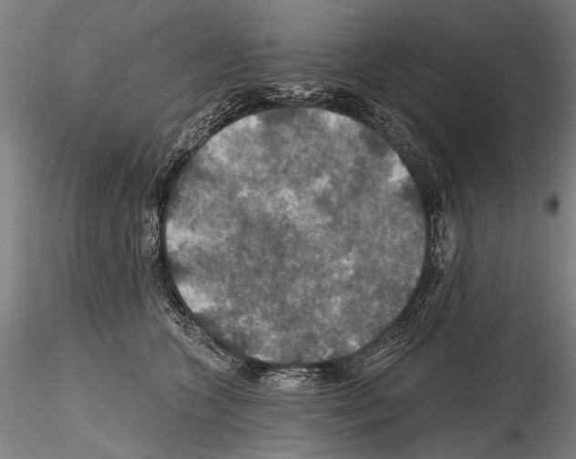 X0000114610563200912010940