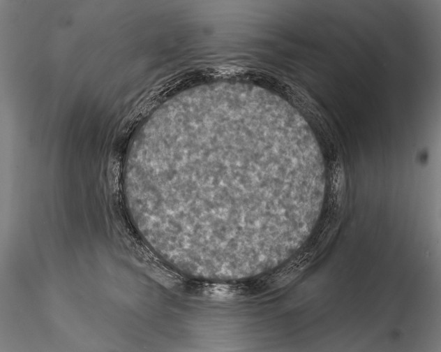 X0000114610565200912010940