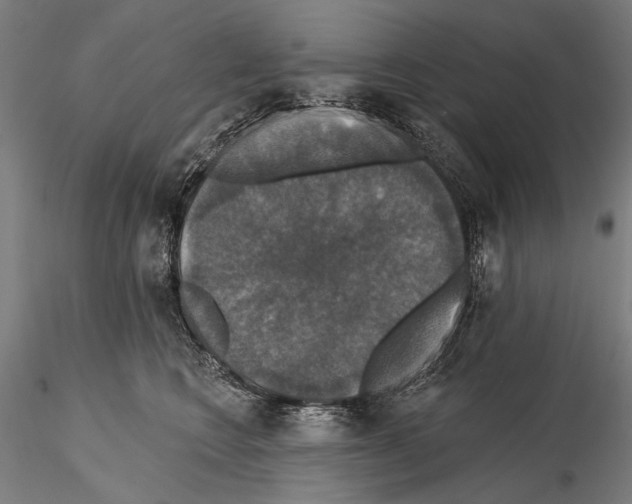 X0000114610566200912010940