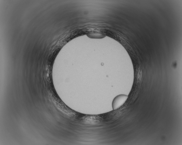 X0000114610567200912010940