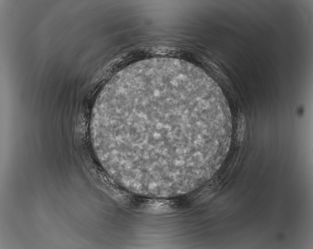 X0000114610569200912010940