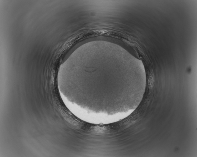 X0000114610570200912010940