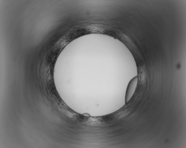 X0000114610573200912010940