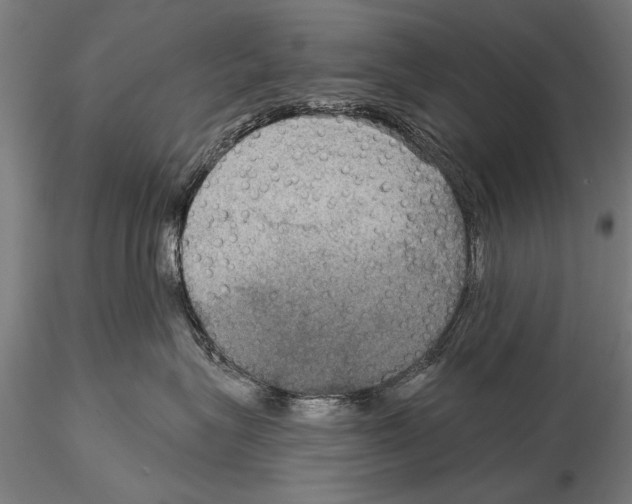 X0000114610575200912010940