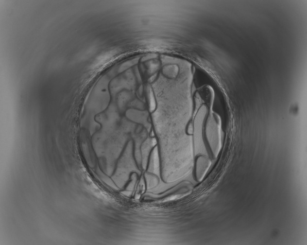 X0000114610577200912010939