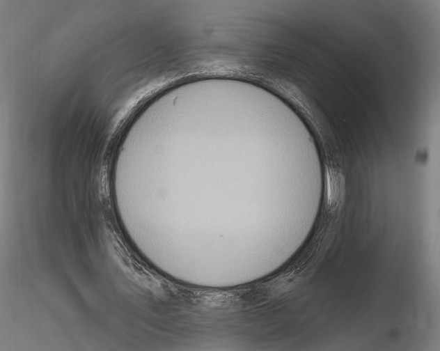 X0000114610579200912010939