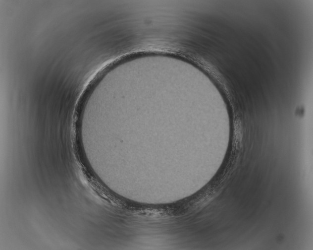 X0000114610580200912010939