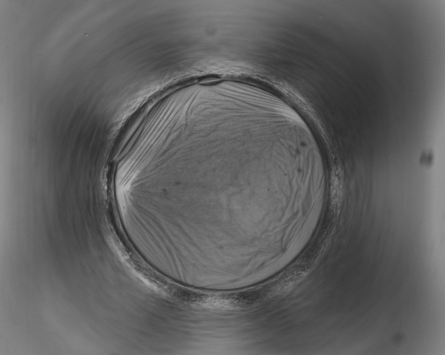 X0000114610581200912010939