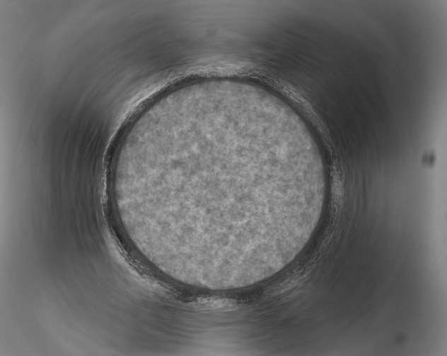 X0000114610582200912010939