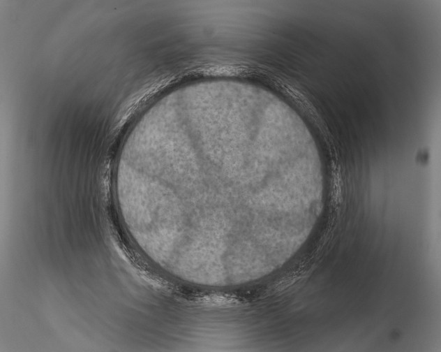 X0000114610586200912010939