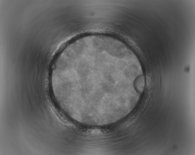 X0000114610588200912010939