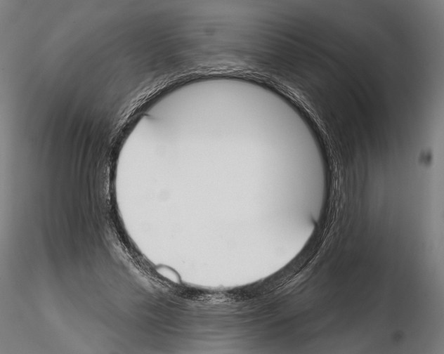 X0000114610589200912010939