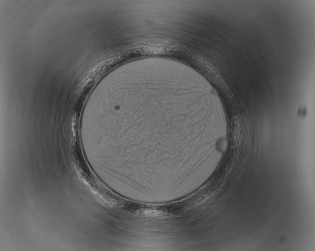 X0000114610590200912010939